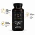 Hochdosierte Ashwagandha (10% Withanolide) - 90 vegane Kapseln